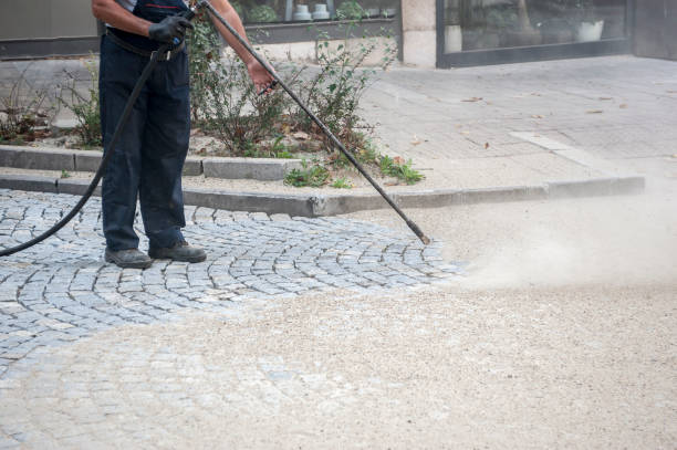 Best Roof Cleaning and Mildew Removal in Ralls, TX